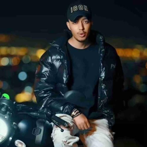 امیر خوشنگار حس پنهون بین من و تو عقل منو برد