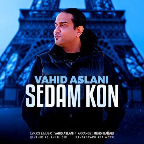 وحید اصلانی صدام کن