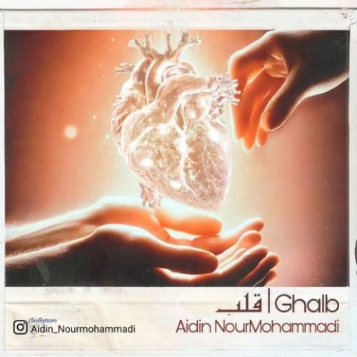 آیدین نورمحمدی قلب