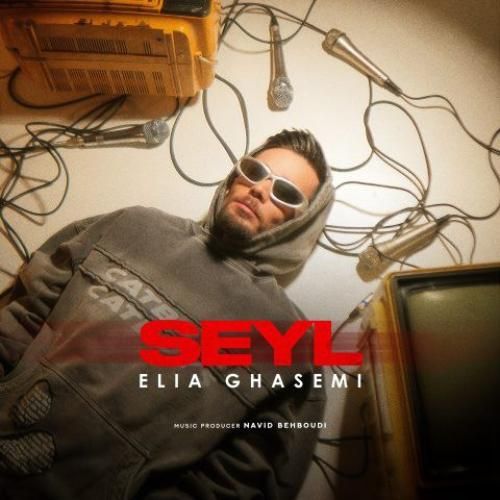 ایلیا قاسمی سیل