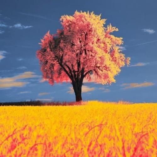   دوتا دستای کی رو دنده هاتن میکنم هست و نیست