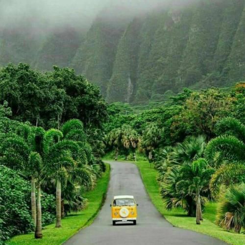 بهزاد لیتو و زد بازی ساعت وایسه