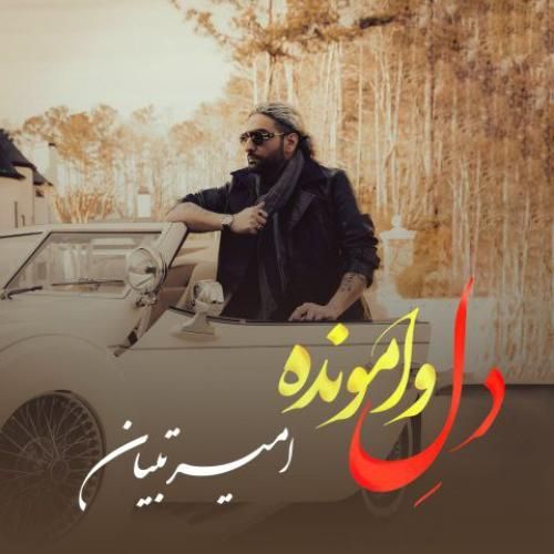 امیر تبیان دل وامونده