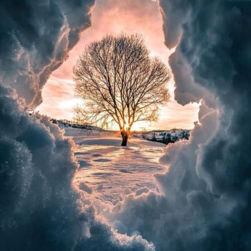  میام تلو تلو لی لی اینا روی کتو متو یی می