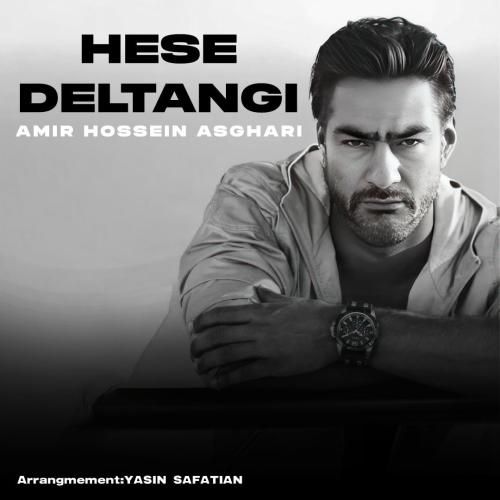 امیرحسین اصغری حس دلتنگی