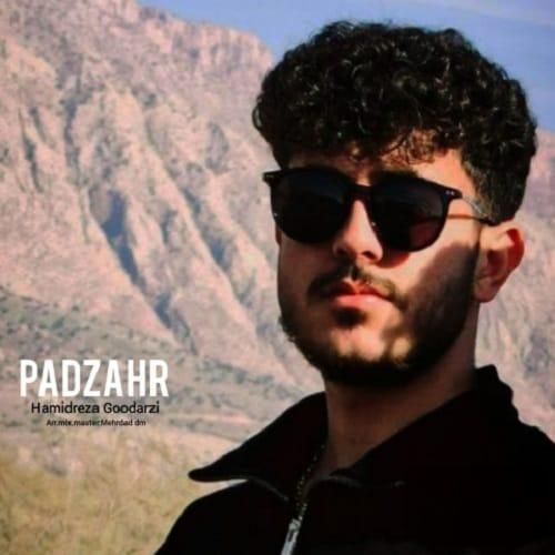 حمیدرضا گودرزی پادزهر