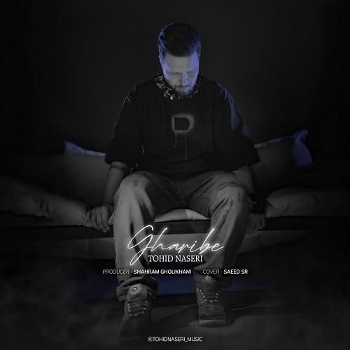 توحید ناصری غریبه