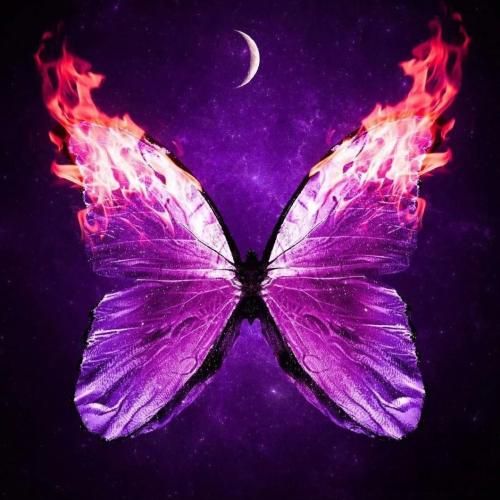 این روزا خیلی دلم خونه میخواد یه آغوش گرم و یه شونه میخواد