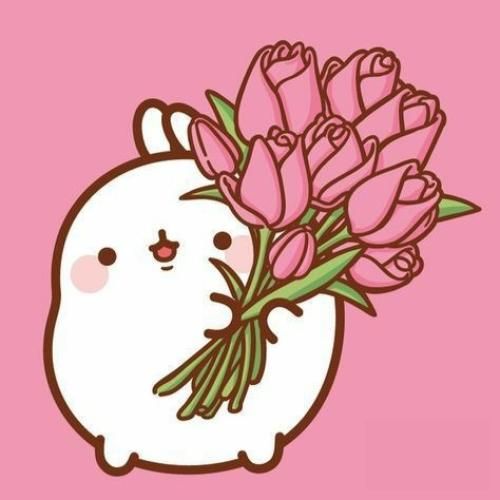 تقصیر تو نبود کردن تو رو شیر تقصیر تو نبود زندگیم