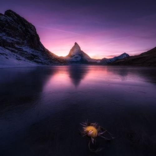 فیک بودی مثل کلاه گیس و پوستیژ من از این