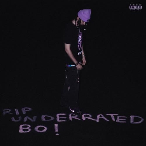 امین تیجی و نیمسکی شبیه ما