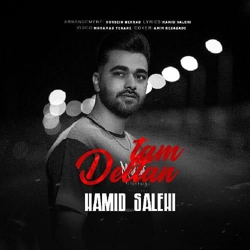 حمید صالحی دلتنگتم