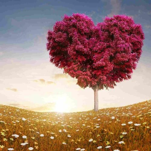 داستان این بچه رپ خونا با من فرق داره یه لین دستشه