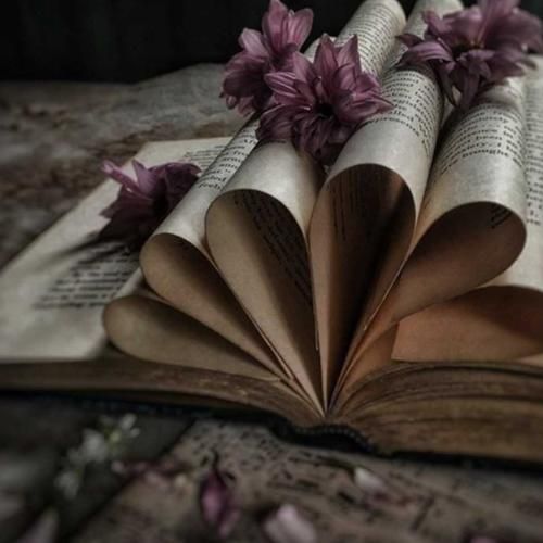 روم رو سفید کردم وجدان رو سیاه میخوام بی حس بشم