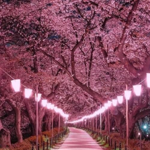 خودمونیم از خوبیات نری نگی یه جا تو