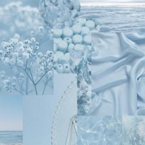 گاز گرفتی با اینکه واست تا آرنج تو عسل بود