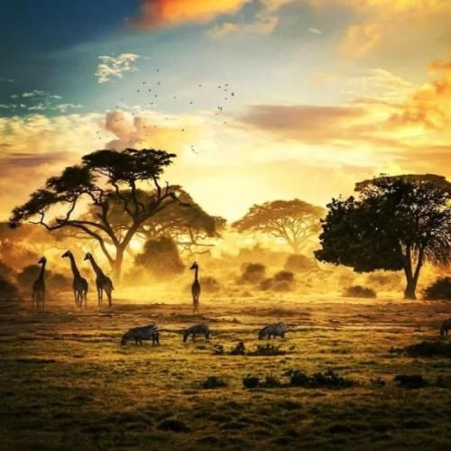 اما دوباره میرقصن اونا که دوباره رو دوباره