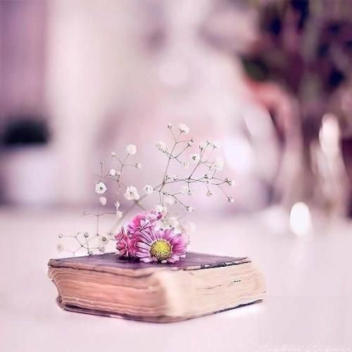 ساده فوری دل به تو بستم وقتی بهت گفتم نرو