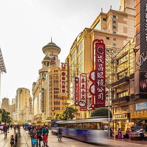 دنیا لیت نایت