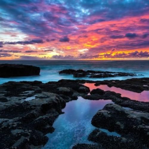 تو جنگ با خودمم هر روز یه روز برنده یه روز مردود