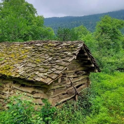 انقد دست به دست میچرخن و هی قلبم شکستن