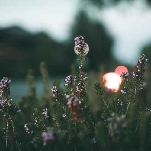 این شبا تو تک تک تیکه های قلبم داری میتپی تپ تپ