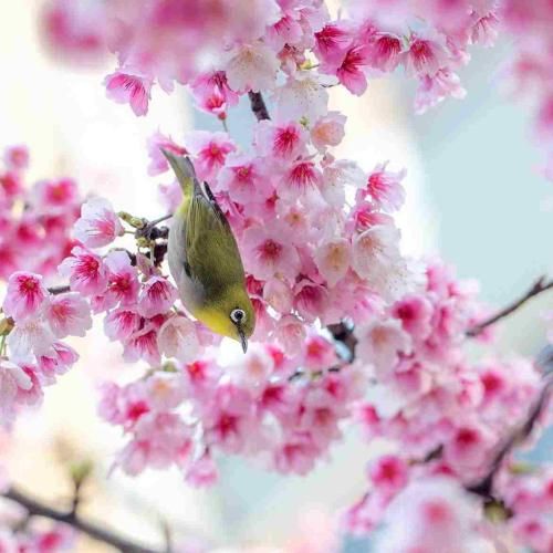 یاد گرفتم عمل کنم به قولم من با لبت پرت شدم به اوجم