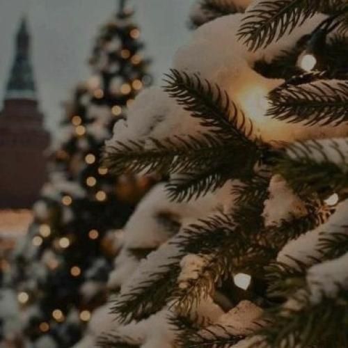 دیگه صورت ماه تو نیست تو تن آب این خونه رو ساختی