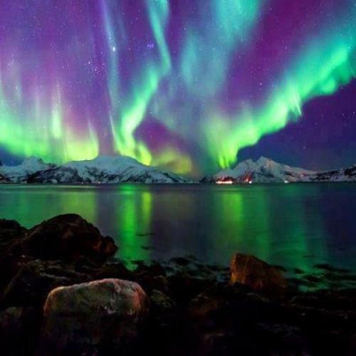 رو اعصابم کردی موج سواری دختر بودی دنبال خود نمایی