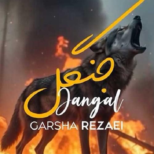 گرشا رضایی جنگل