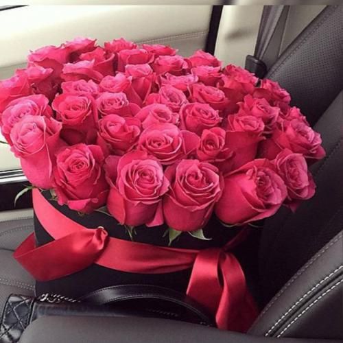 توی گرمای شهر دو سال باریده برف خز نبود هنوز