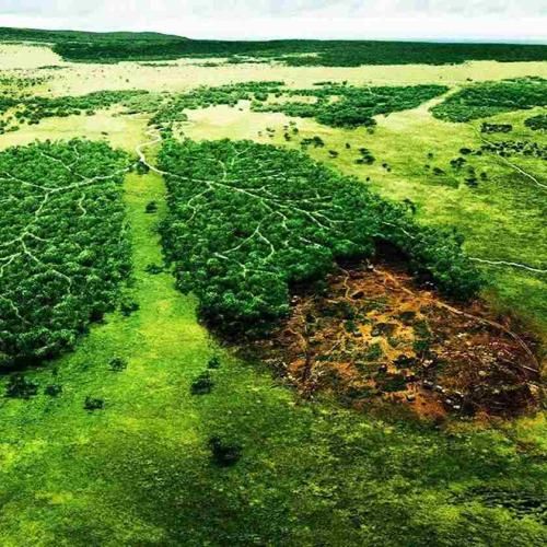 تو نگاهم به غیر تو کسی زیبا نمیشه